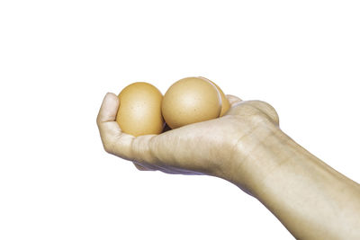 Close-up of hand holding eggs against white background