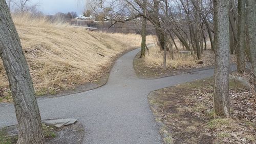 Close-up of wet road by trees against sky