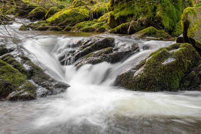 Scenic view of waterfall in forest