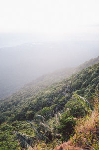 High angle view of landscape against sky