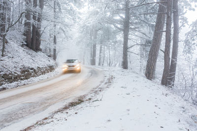 A road in the winter forest. beautiful winter landscape with coniferous forest 