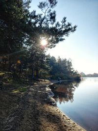 Trees by lake against sky