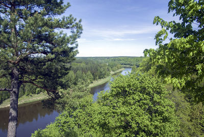 Scenic view of trees against sky