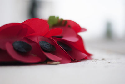 Close-up of red roses on table