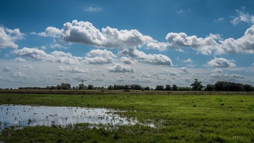 Scenic view of field against sky