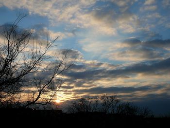 Low angle view of silhouette bare trees against sky during sunset