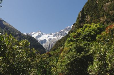 View of trees on mountain against blue sky