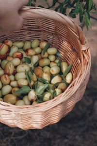 Basket Date