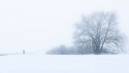 Bare trees on snow covered field against sky