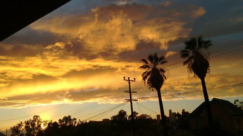 Silhouette trees against dramatic sky during sunset