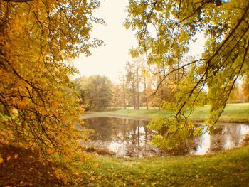 Scenic view of lake in forest during autumn