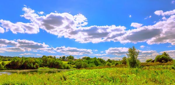 Scenic view of field against sky