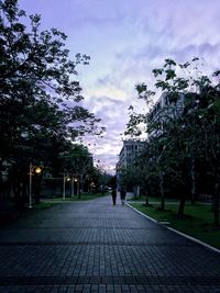 Man walking amidst trees in city against sky