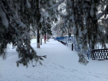 Snow covered trees on field during winter