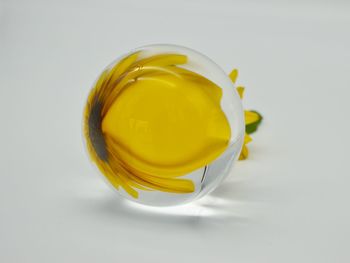 High angle view of yellow glass on white background