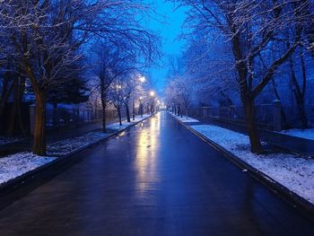 Snow covered bare trees in winter