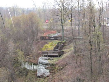 High angle view of stream along bare trees