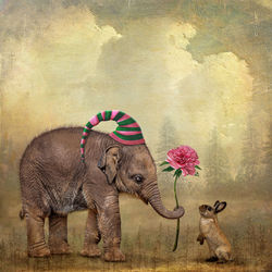 Digital composite image of flowers against wall