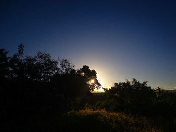 Silhouette trees against clear sky during sunset