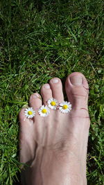 Low section of person with flowers on field