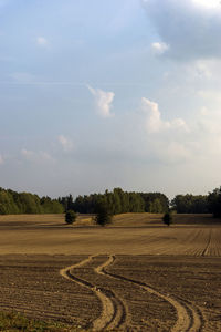 Scenic view of agricultural field against sky