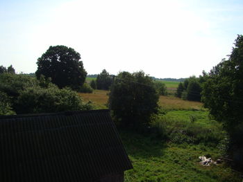 Trees on field against sky
