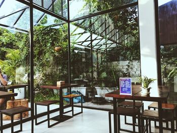 Potted plant on table by window