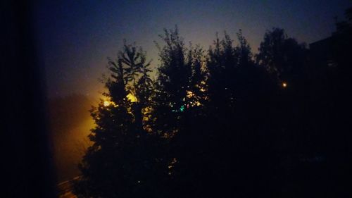 Silhouette trees against sky at night