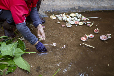 Low section of people on flower by water