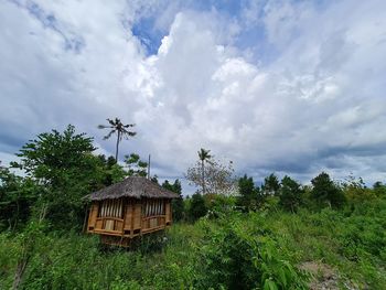 Plants on field by building against sky