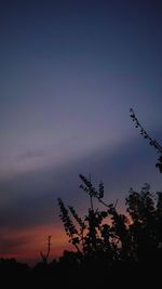 Low angle view of silhouette tree against sky at sunset