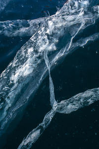 View of turtle swimming in sea