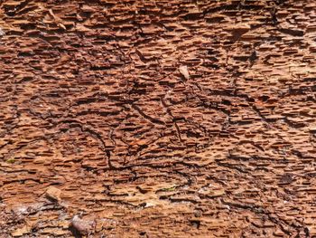 Full frame shot of cracked field