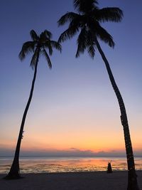 Silhouette of palm tree at beach during sunset