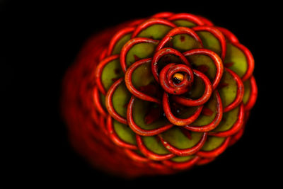 Close-up of red flower over black background