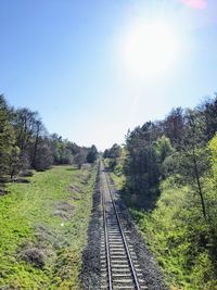 Railroad tracks amidst trees against sky