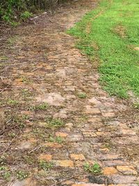 Narrow walkway along footpath