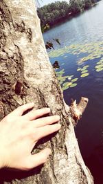 Cropped image of woman in water