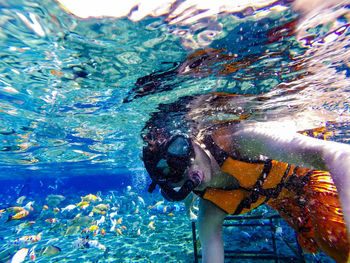 Man swimming in pool