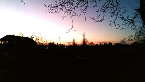 Silhouette trees at sunset