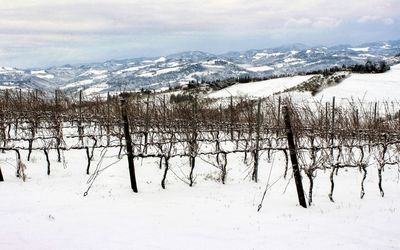 Scenic view of snow covered field against sky