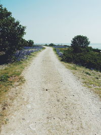 Road passing through landscape