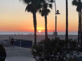 Silhouette palm trees on beach against sky during sunset