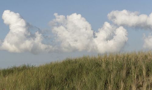 Panoramic view of field against sky