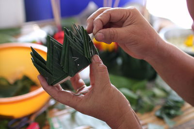 Close-up of hand holding leaf