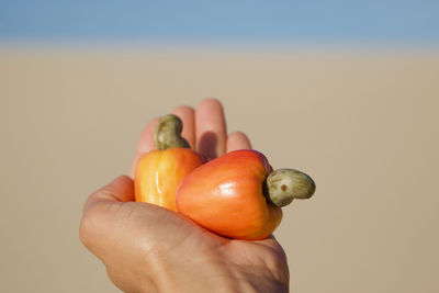 Person holding apple