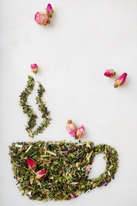 High angle view of pink roses against white background