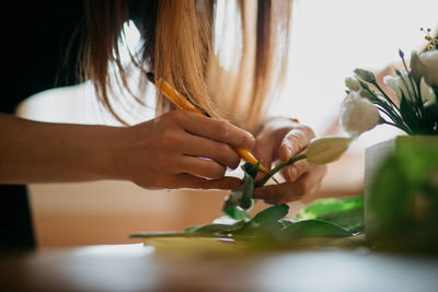 Midsection of woman holding plant at home