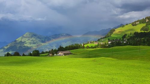 Scenic view of landscape against sky