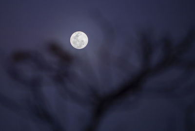 Low angle view of moon in sky